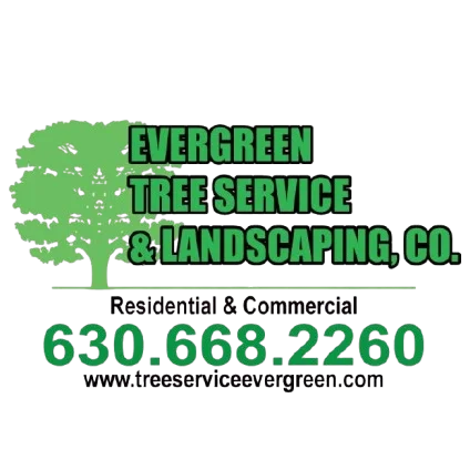 Green tree silhouette logo with company name and contact details for tree service business