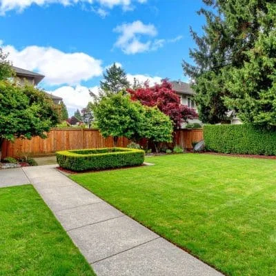 Manicured residential yard with mature trees, hedges, lawn, and concrete walkway