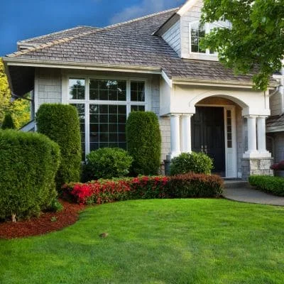 Front yard with boxwood hedges, red flowering plants, and maintained lawn